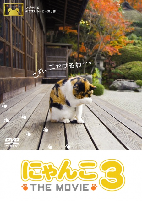 PCBC_71457_にゃんこ3