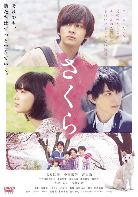 レンタルDVD_表1